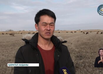 Игерілмеген жердің игілігі жоқ