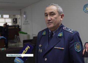 Кражи, хулиганства, интернет-мошенничество