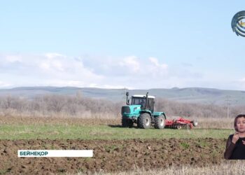 Ауыл шаруашылығы өнімдерін өндірушілер қосымша құн салығынан босатылады