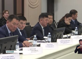 Алматы облысында су тасқыны болуы ықтимал қауіпті 20 учаскенің 7-еуі толығымен жойылды