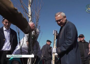 Жетісу облысында 5 мыңға жуық ағаш көшеті отырғызылды