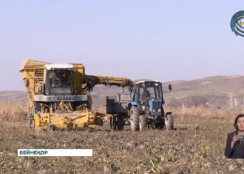 Жетісу өңірінде көктемгі дала жұмыстарына дайындық қызу