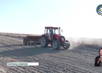 Көктемгі дала жұмытары қарқынды