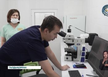 Енді жүкті келіншектер баласының дамуы дұрыстығына небәрі 1 сағатта көз жеткізе алады