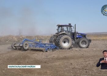 В области Жетысу началась весенняя посевная кампания