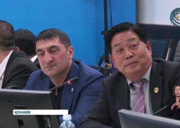 Алматы облысы мен Қытай елі арасындағы сауда айналымы артып келеді