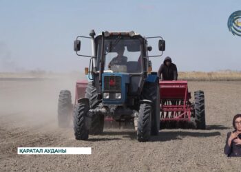 Жетісу облысында көктемгі дала жұмыстары басталды