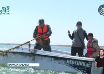 Балқаш көлі қоқыстан тазартылды