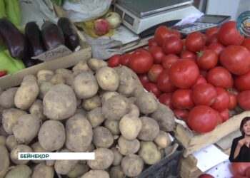 Жетісу облысында азық-түліктің бағасын негізсіз көтерген 19 кәсіпорын анықталды