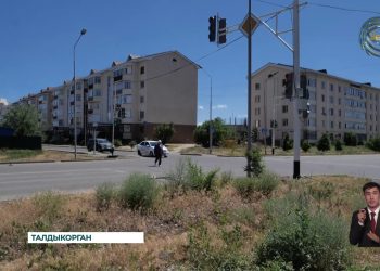 В 6-ом и 7-ом микрорайонах Талдыкоргана зафиксированы случаи массового засыхания деревьев