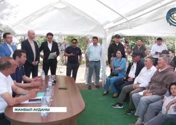 Алматы облысы үшін «Кең дала» бағдарламасы қайта жасалады