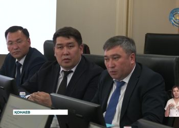 Алматы облысында қамыс өндірісі қолға алынбақ