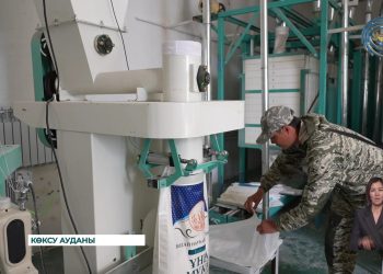 Көксу ауданында 15 жыл тұралап қалған ұн шығаратын диірмен ісі қайта жанданды