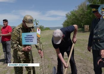 Алакөл ауданында «Тоқсаябақ» алмабағы ашылды