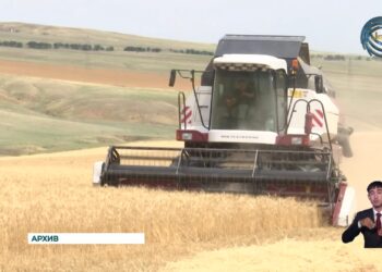 Область Жетісу активно развивает агропромышленный комплекс