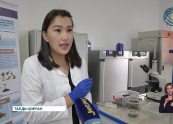 Жетісулық жас ғалым шыбыннан тыңайтқыш әзірледі