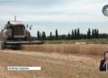 Жетісулық диқандар астық ора бастады