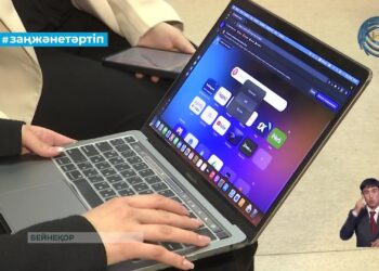 Жетісу облысында 265 интернет-алаяқтық фактісі тіркелді