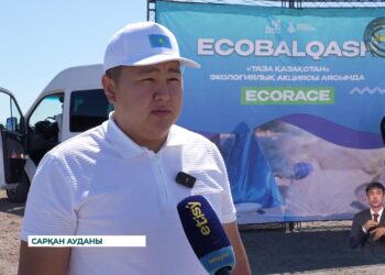 Еріктілер мен “Жасыл ел” еңбек жасақтары жүйелі жұмыс үстінде