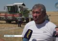 Жетісу облысында астық ору науқаны жалғасуда
