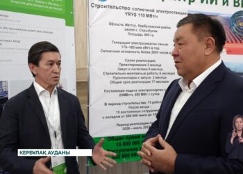 Станция и завод СПГ появятся в Жетысу