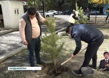 Экология — дело рук молодых