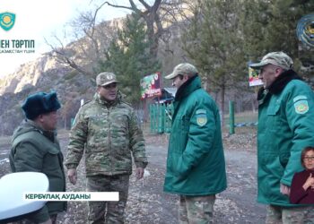 Тәртіп сақшылары мен орманшылар шыршалардың оталмауын қадағалайды