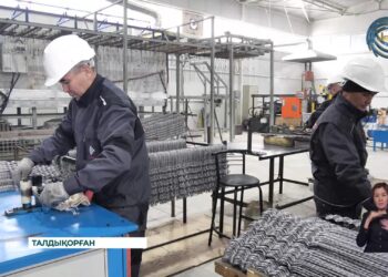 Талдықорғанда электрмонтаж құрылғыларын өндіретін кәсіпорын ашылды