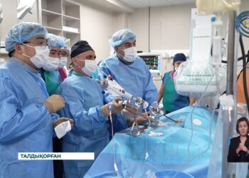 Жетісу облысында күрделі жүрек оталарын жасау қолжетімді