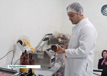 Балқымыз шығаратын өндіріс