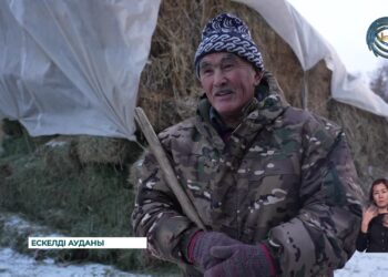 Ауыл тұрғындарының табысын арттыруда қосалқы шаруашылықтың маңызы зор