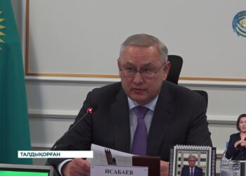 Конституция жобасын талқылауға арналған өңір активімен кездесу өтті