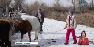 “Ауыл аманаты” бағдарламасы арқылы 789 несие берілді