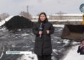 Жители области Жетысу стали меньше потреблять угля