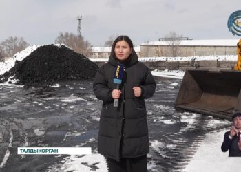 Жители области Жетысу стали меньше потреблять угля