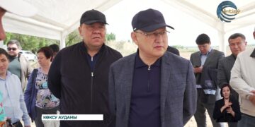 Облыста көктемгі дала жұмыстары қарқынды