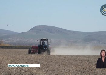Жетісу жерінде көктемгі дала жұмыстары қызу