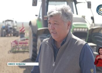 Қант қызылшасының егіс көлемі 13 мың гектарға жетті