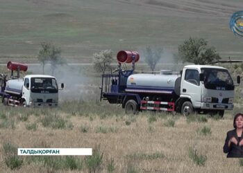 Өңірде үйірлі шегірткелерді улау жұмыстары жүріп жатыр