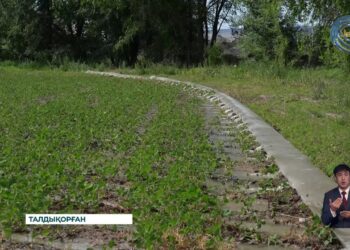 Диқандар су үнемдеудің заманауи тәсілдеріне көшіп жатыр