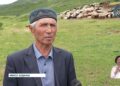 Жетісулық шаруалар малдарын жайлауға көшіріп жатыр