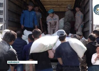 Волонтерлікке – конституциялық қолдау