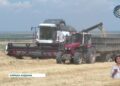 Жетісу облысында егін орағы басталды