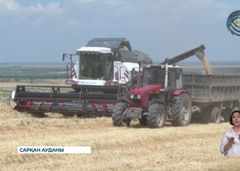 Жетісу облысында егін орағы басталды