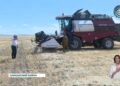 В области Жетысу официально стартовала уборочная кампания