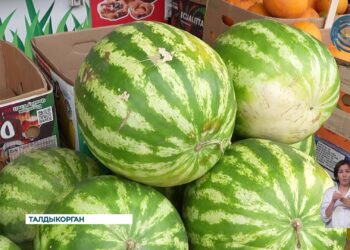 Летом — пора сладких арбузов, ароматных дынь и свежих фруктов