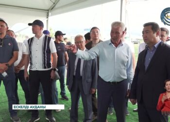 Жетісу облысы агроөнеркәсіп кешенінің қай бағытын алмасақ та жұмыс қызу