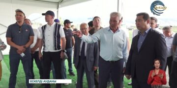 Жетісу облысы агроөнеркәсіп кешенінің қай бағытын алмасақ та жұмыс қызу