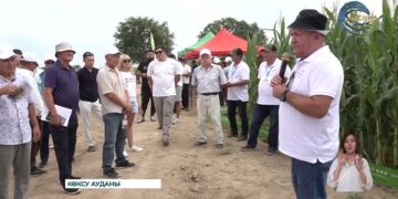 Шаруалар заманауи технологияларды өндіріске енгізуге ден қойып отыр
