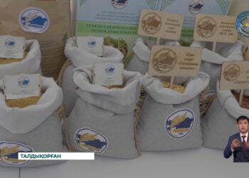 Егіншілік саласындағы ғылыми жетістіктер таныстырылды